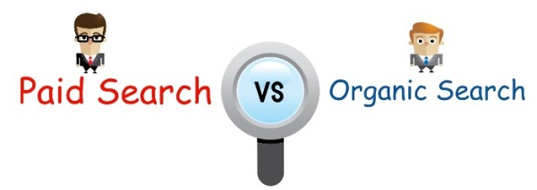 organic and paid search ranking