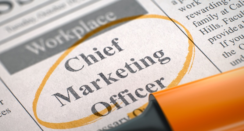 fractional CMO marketing strategy