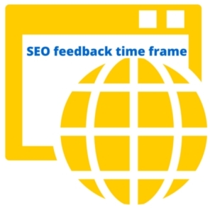 SEO feedback time frame