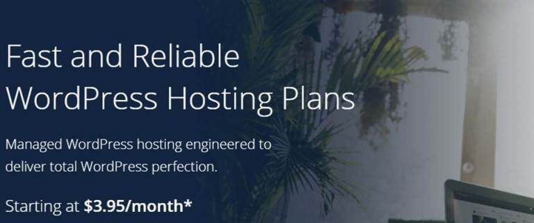 bluehost wordpress hosting plans